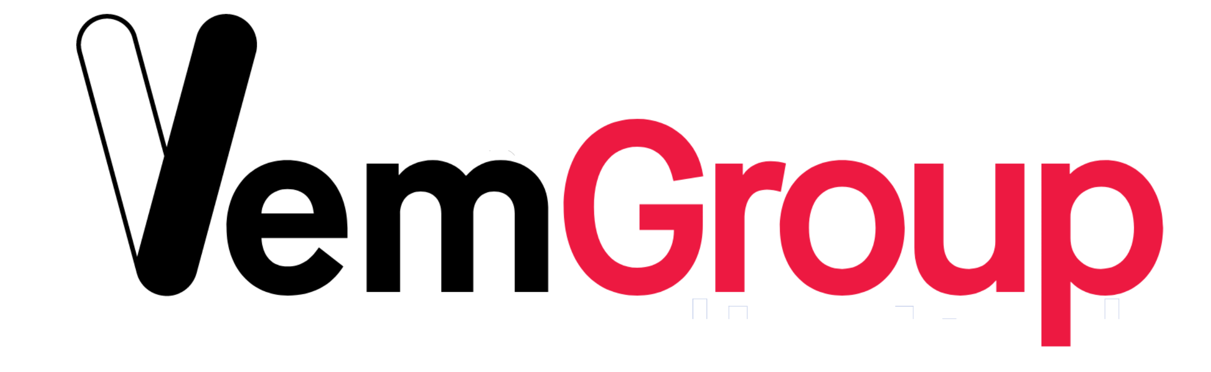 VemGroup